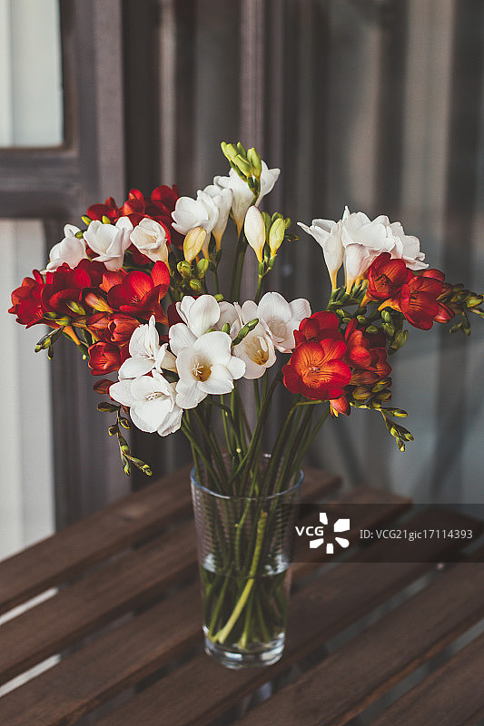 小苍兰图片素材