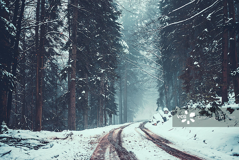 德国黑森林图片素材