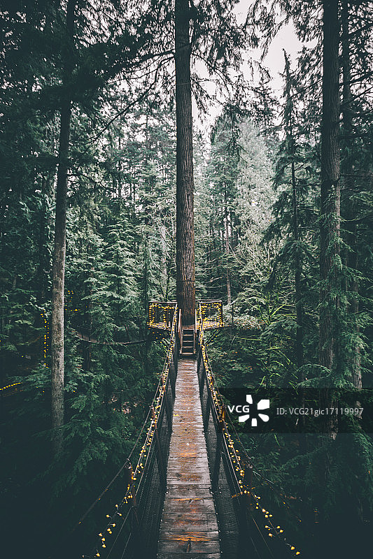 光芒指引你图片素材