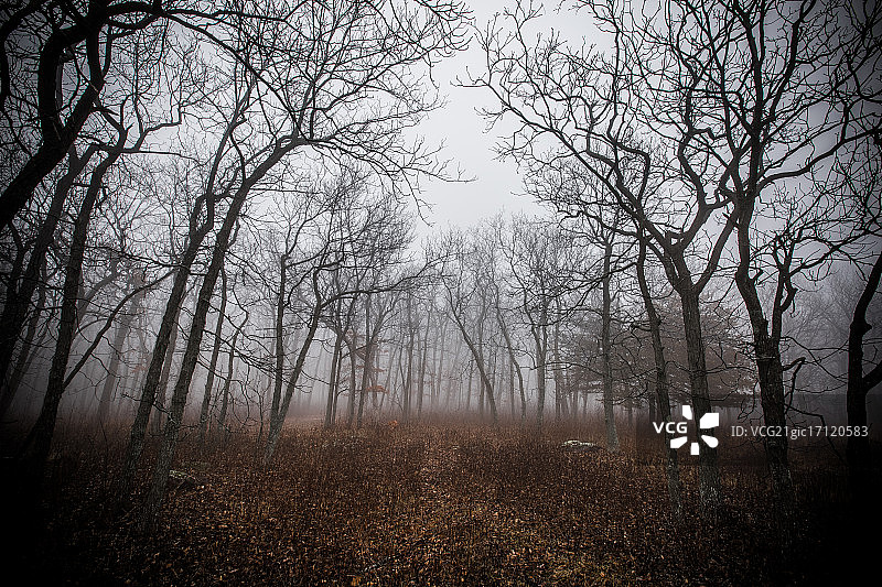 魔鬼湖2图片素材