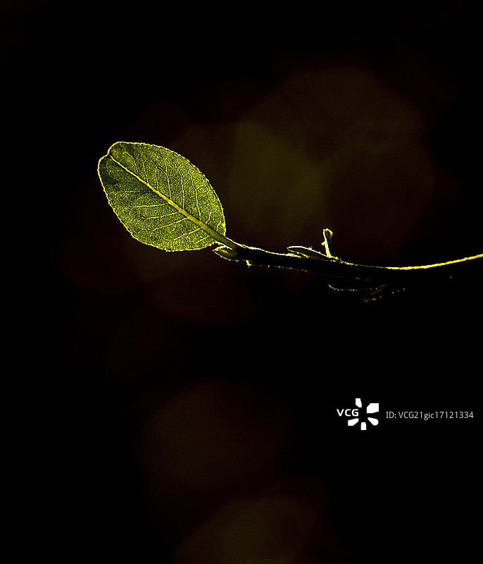 玩转光影5图片素材