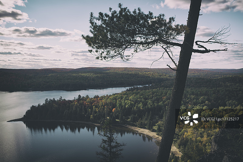 从山上俯瞰湖岸森林图片素材