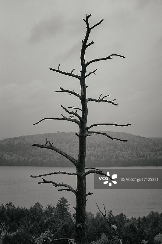 摄影师：威廉·塞尔夫图片素材