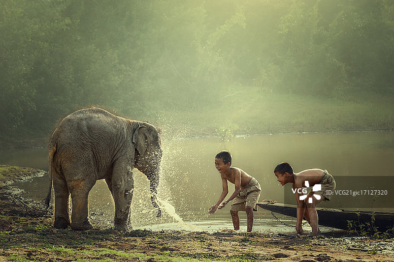 男孩们在河边给小象泼水图片素材