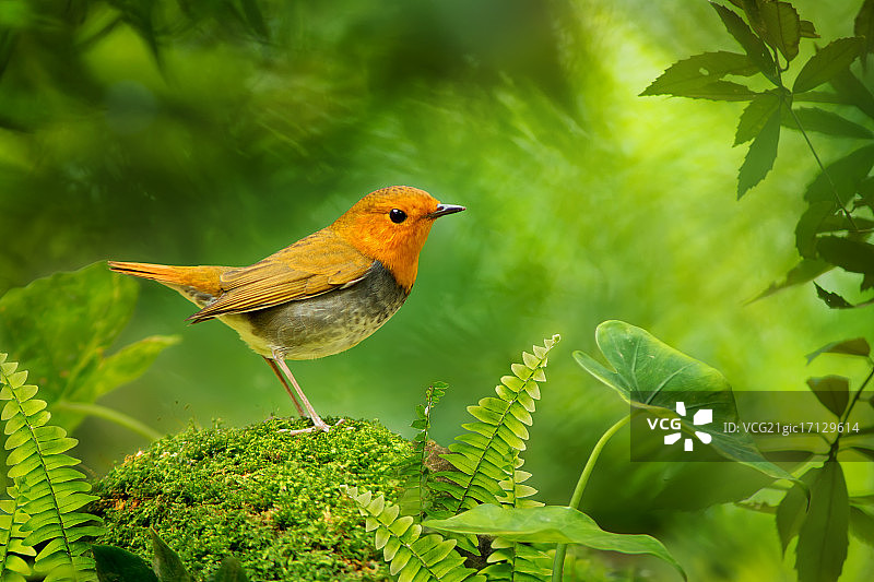 中国台湾基隆图片素材