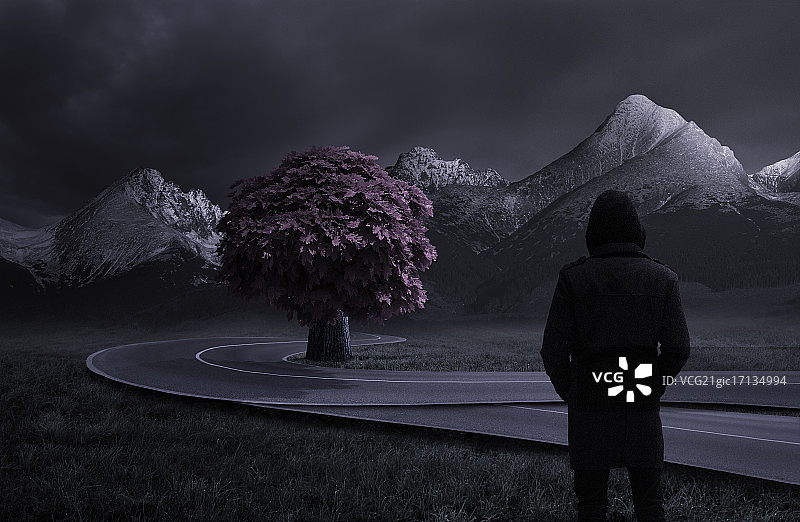 一个男人的背影图片素材