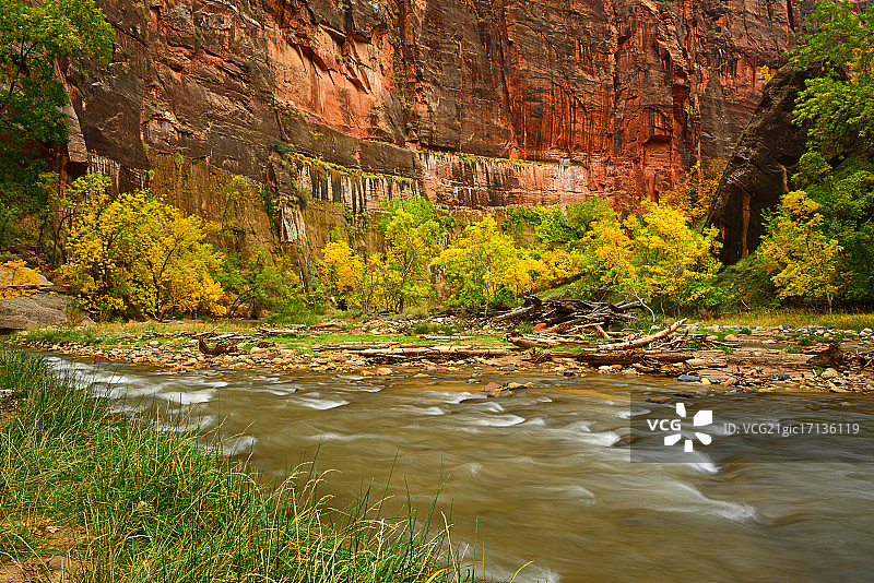 森林中树木间的河流美景图片素材