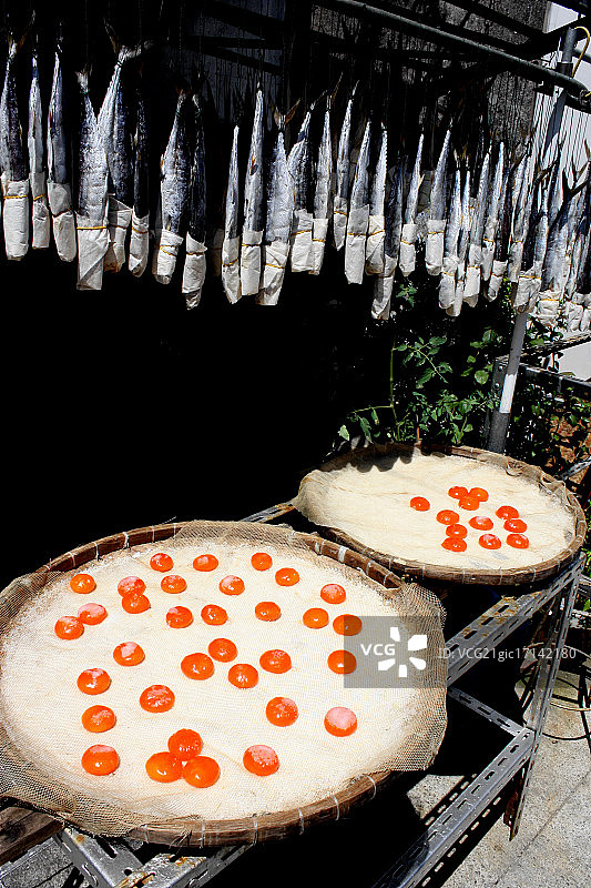 鱼卵采集图片素材