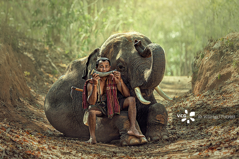 大象和驯象师图片素材