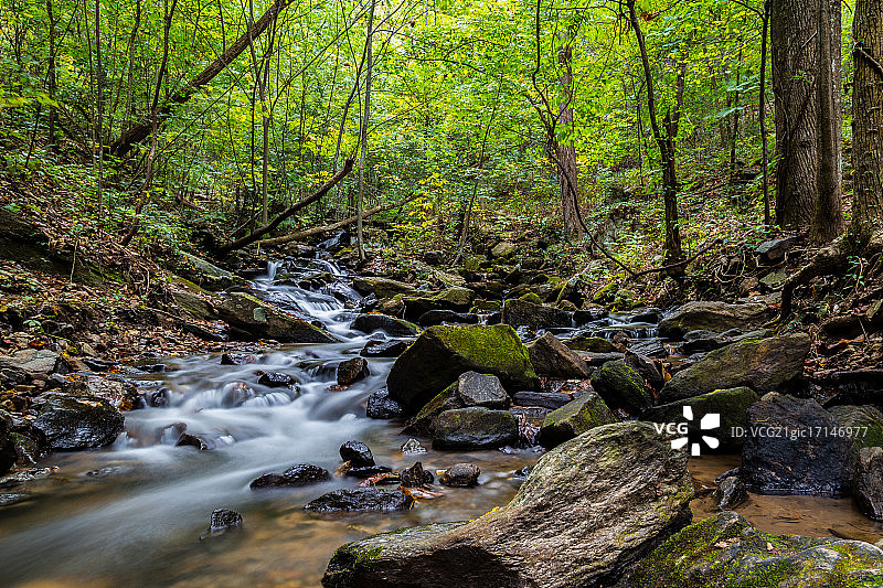 森林流图片素材