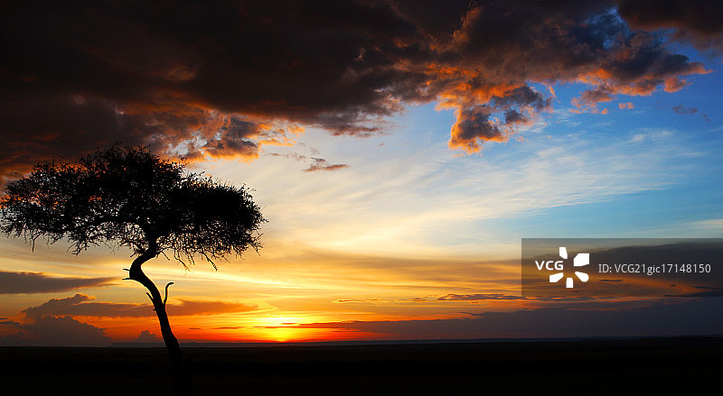 马赛马拉的绚丽日落图片素材