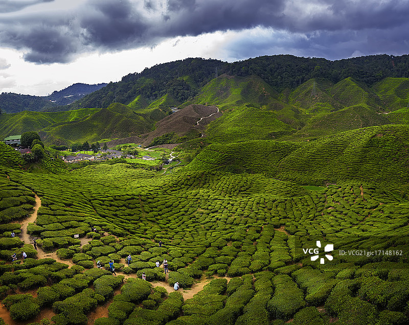 金马仑高原的迷人风光图片素材