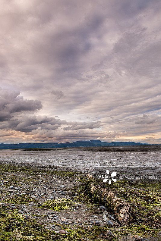 爱尔兰劳斯郡的邓多克湾和穆恩山图片素材