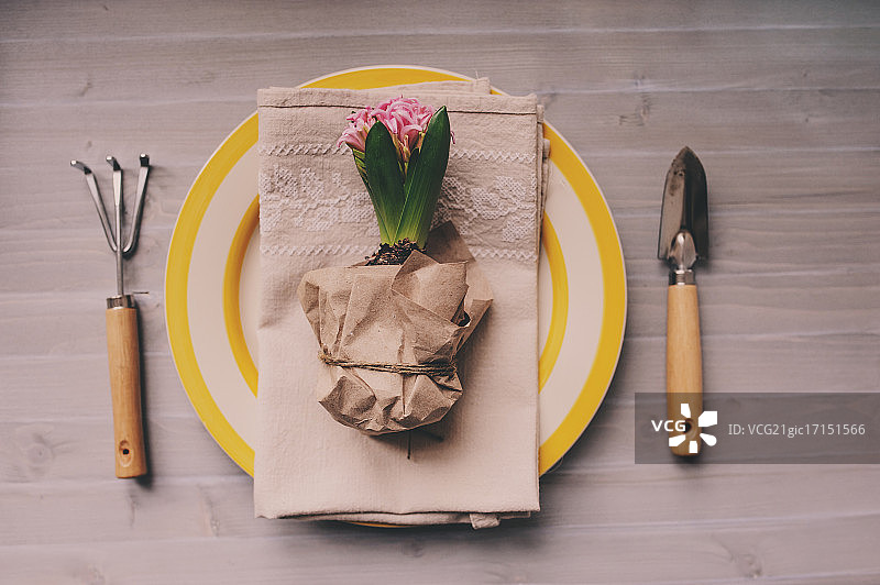 装饰复活节的桌子俯视图，有风信子花、园艺工具和彩色盘子图片素材