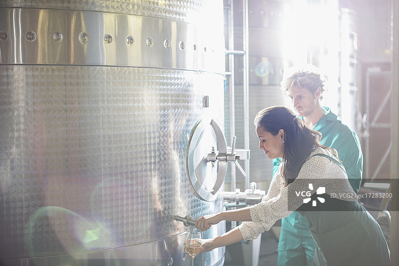 葡萄园工人在阳光明媚的酒窖中品尝不锈钢桶中的白葡萄酒图片素材