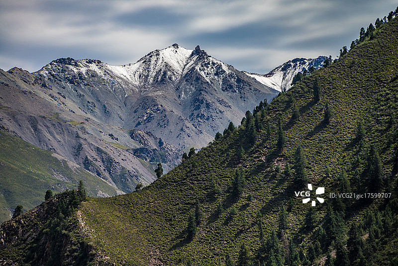 青海祁连山冰沟林海图片素材