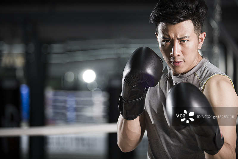 拳击手肖像图片素材