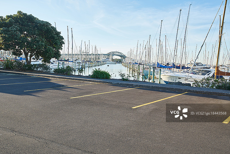 奥克兰游艇码头图片素材