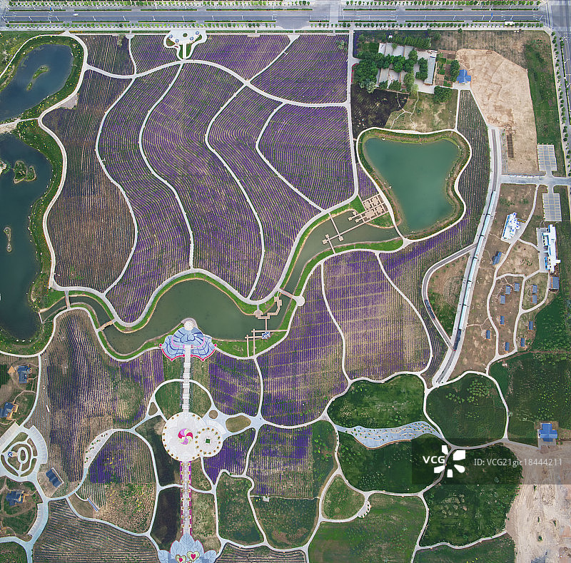 甘肃金昌金川紫金花海晨曦俯拍全图片素材