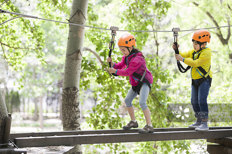 快乐的孩子们挑战树上穿越项目图片素材