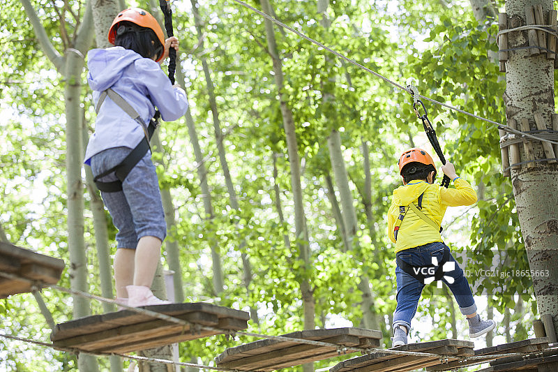 快乐的孩子们挑战树上穿越项目图片素材