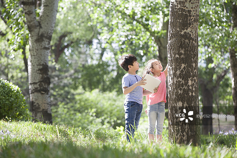 儿童在树林里嬉戏玩耍图片素材