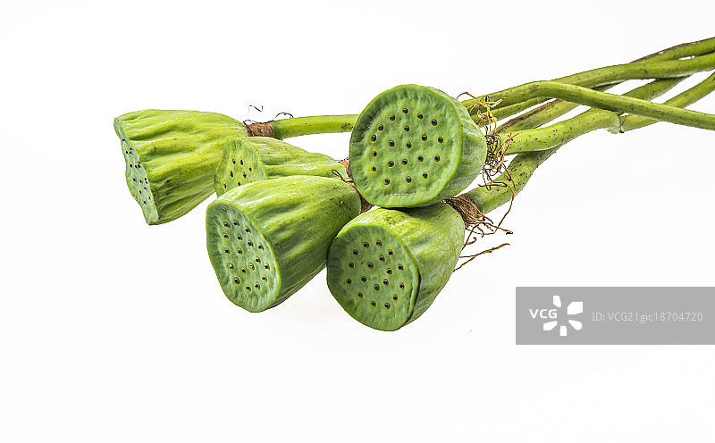 莲蓬静物图片素材