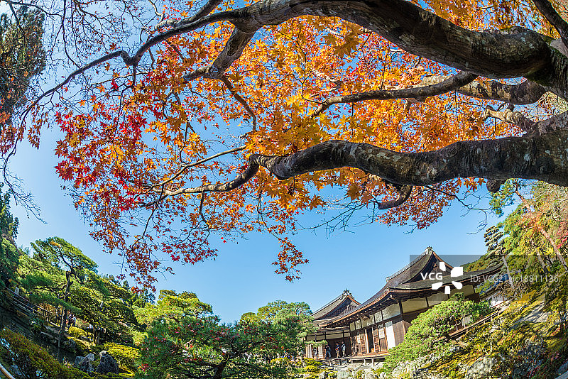 日本京都银阁寺秋景图片素材