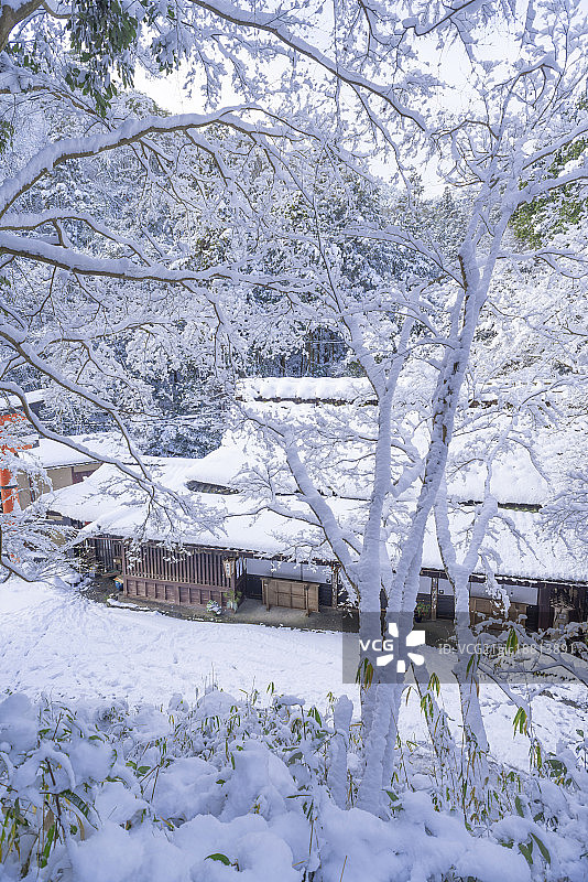 雪中的鸟居本，嵯峨野，京都，日本图片素材