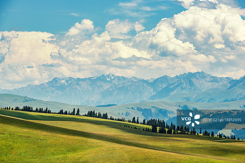 喀拉峻草原图片素材