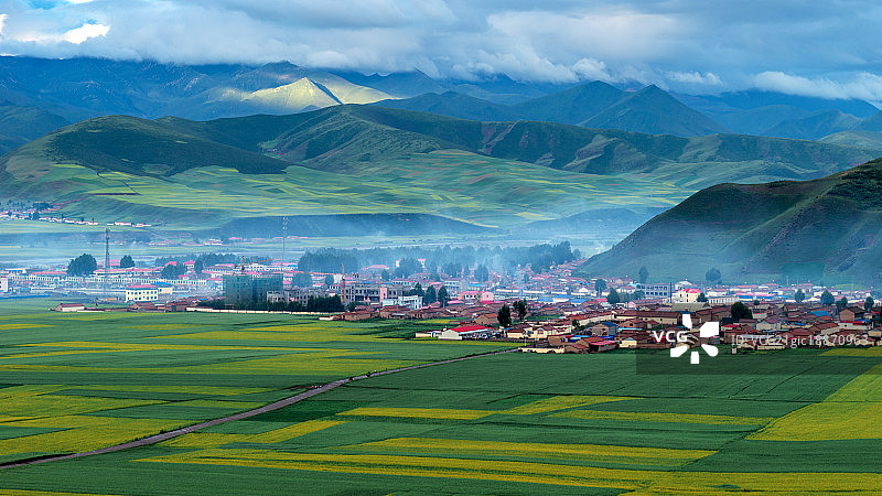 青海祁连山油菜花风光图片素材