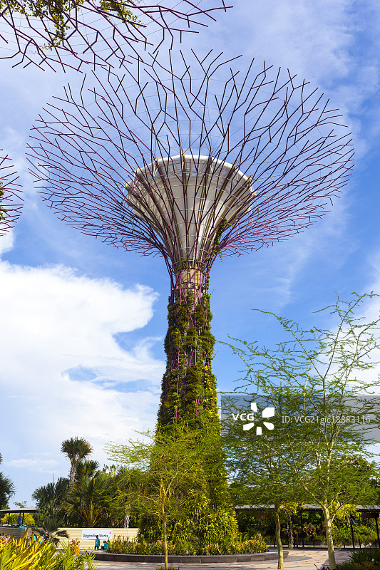 新加坡滨海湾花园图片素材