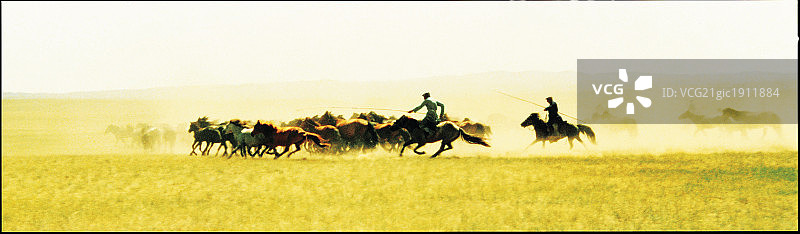 草原上牧马人牧马图片素材