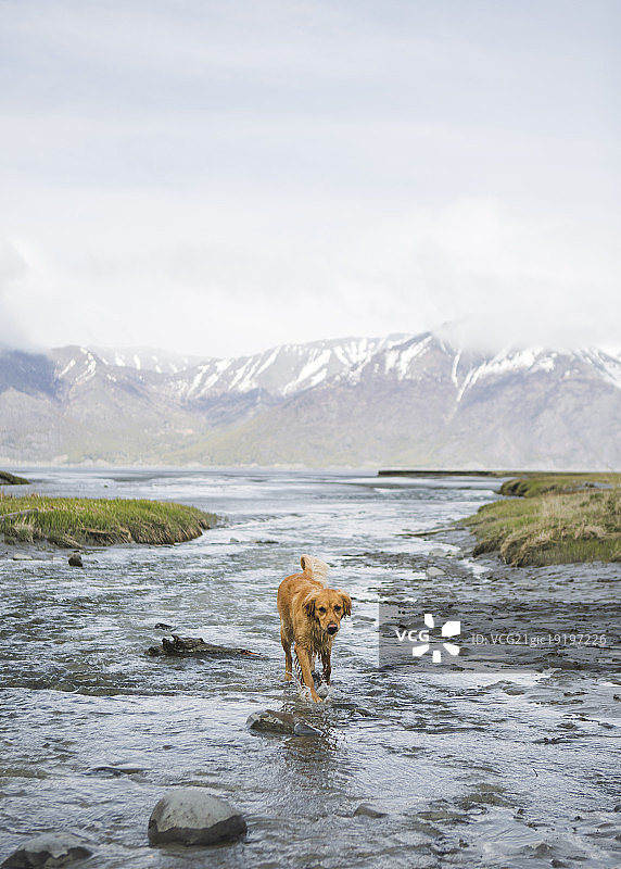 回转臂海湾探险图片素材