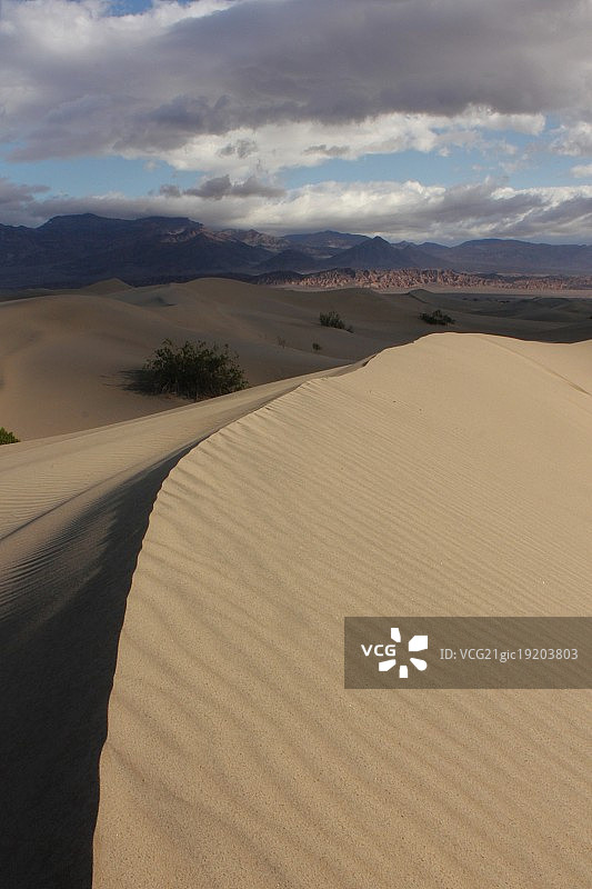 死亡谷的梅斯基特平坦沙丘图片素材