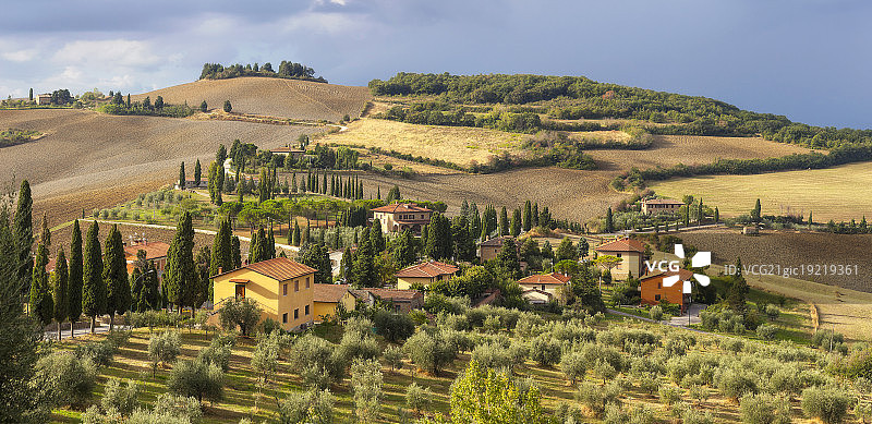 树木和建筑物顶空俯视图片素材