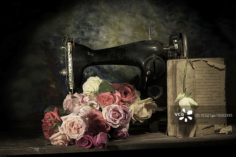 玫瑰花静物写生图片素材