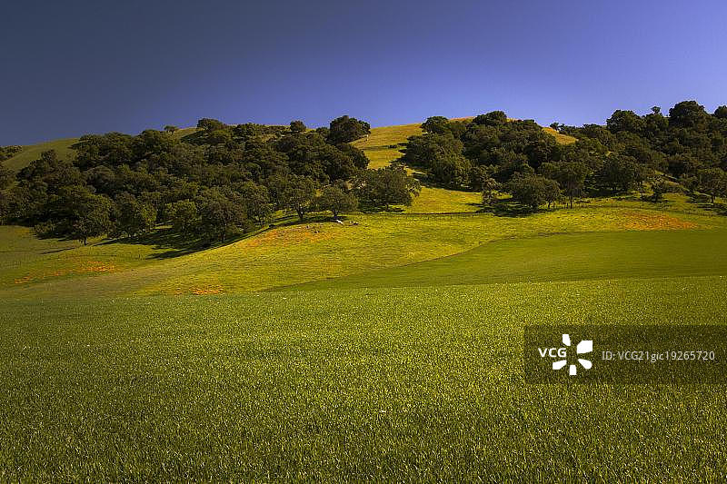 春天里的吉尔罗伊山图片素材