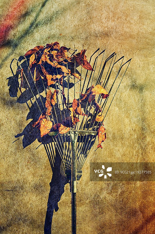 秋季落叶扫帚图片素材