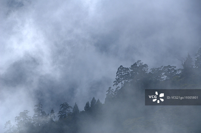 台湾,台中县,雪山哭坡观景台拍摄,图片素材