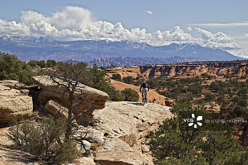 犹他州摩押沙漠的奔牛小径图片素材