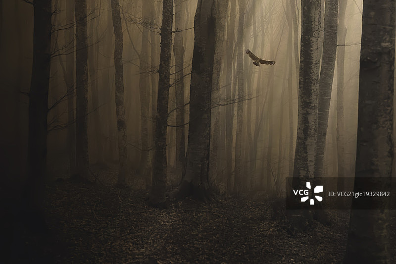 重返光明图片素材