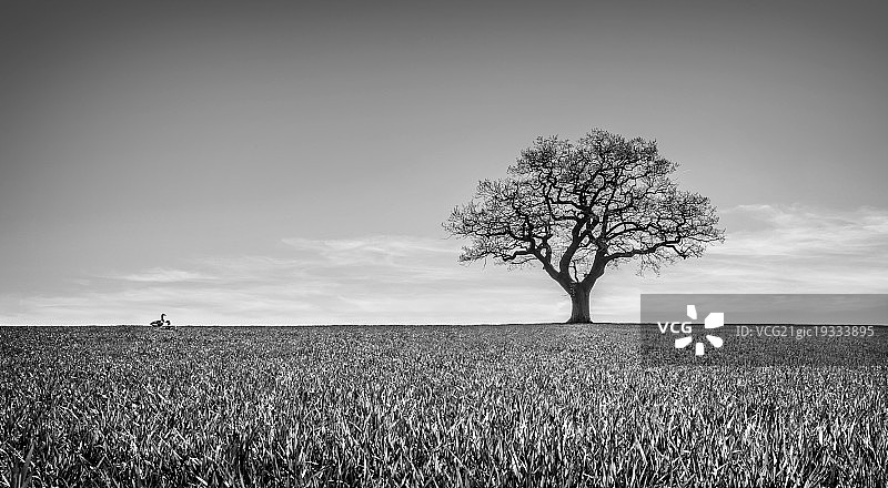 失去了图片素材