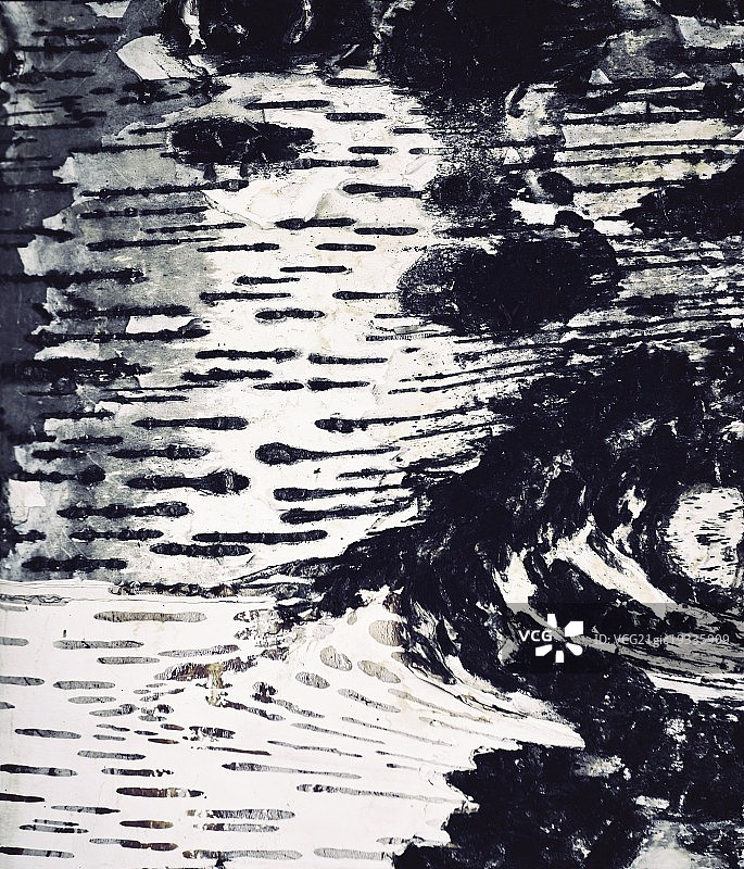 桦树皮的抽象细节图片素材