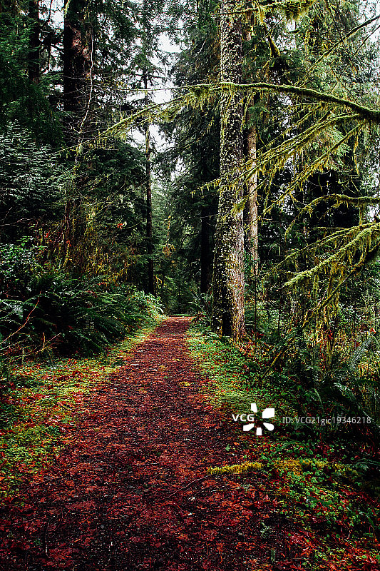 奎纳尔特湖步道图片素材
