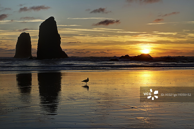 坎农海滩的日落图片素材