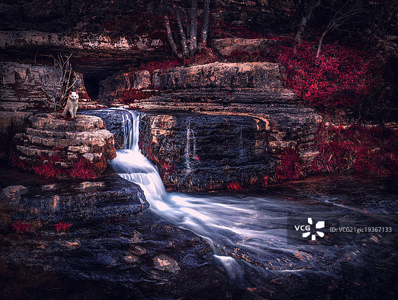 《卫报》图片素材