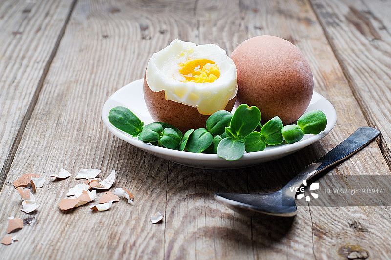 带绿色嫩芽的煮鸡蛋图片素材