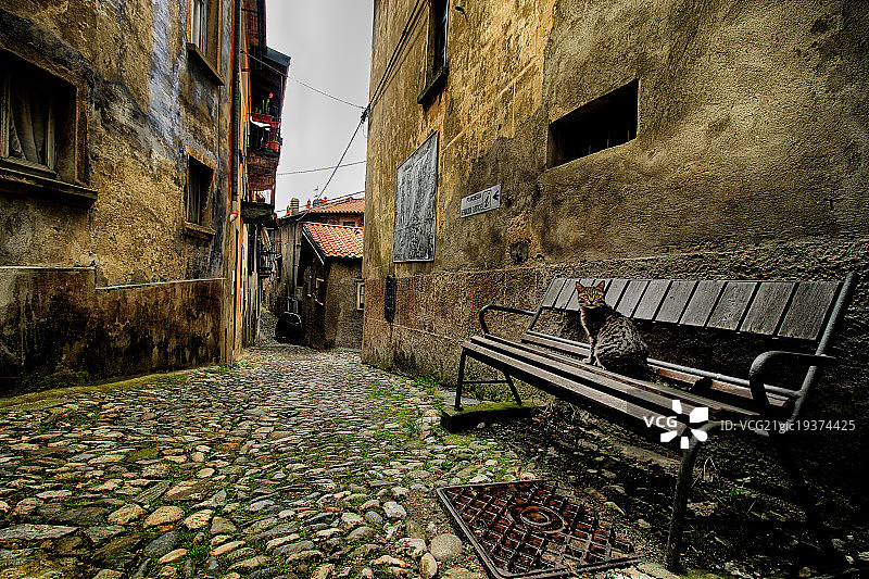 我是明星图片素材