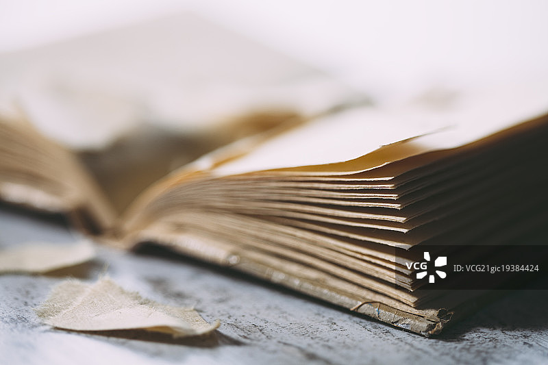 阳光下的书页图片素材